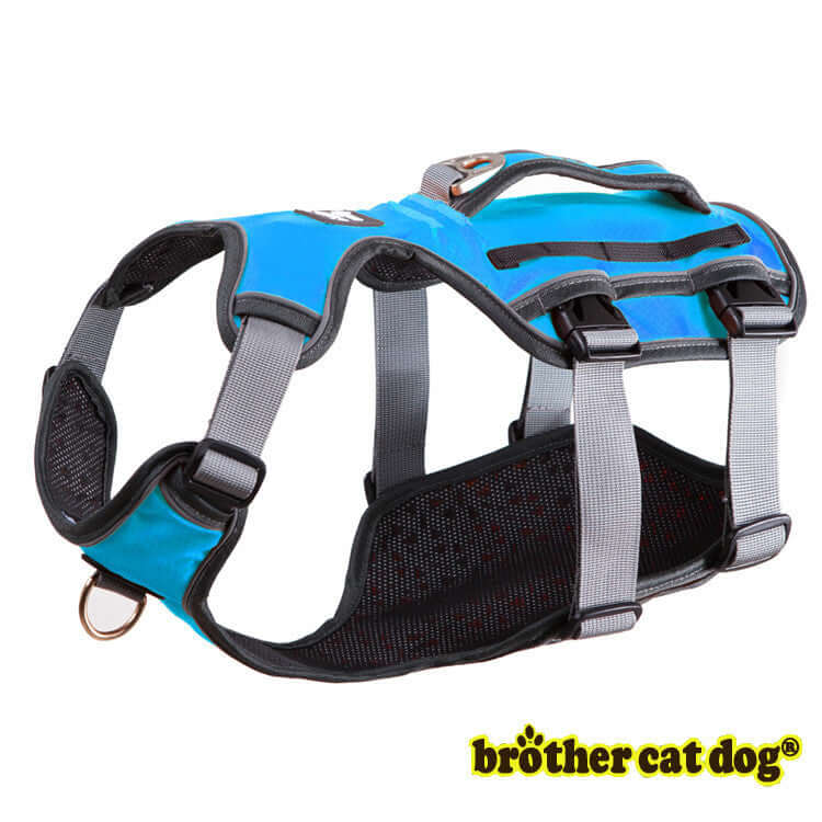 Harnais de sécurité pour chien en bleu, idéal pour le confort et la sécurité de votre animal.