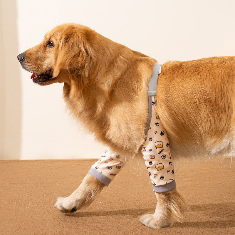 Golden retriever wearing knee protection with a cute pattern, showcasing a stylish and comfortable design for dogs.