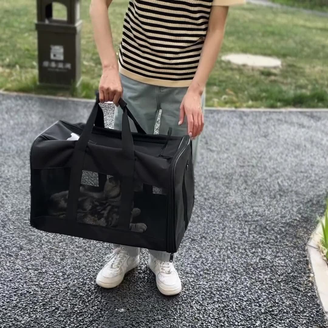 Homme portant un sac de transport pour animaux de compagnie noir avec un chat à l'intérieur.