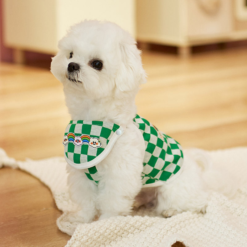 Chien blanc portant un gilet de mode échiquier vert et blanc dans un intérieur chaleureux, parfait pour les animaux.