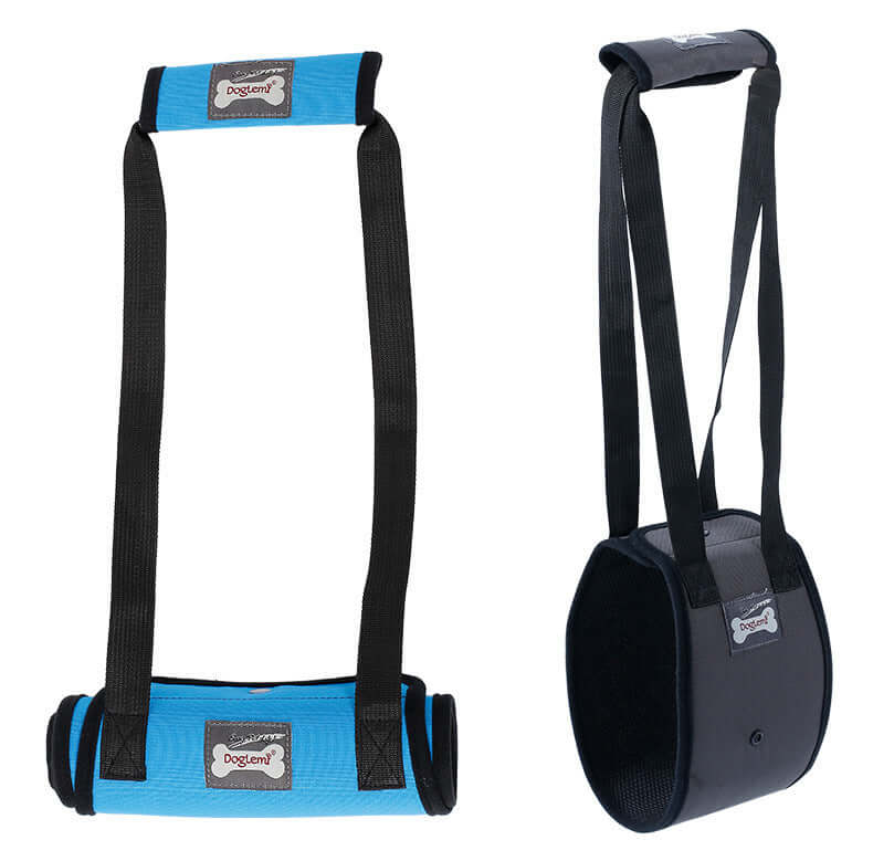 Ceinture de protection pour chien, disponible en bleu et noir, conçue pour le confort et le soutien des animaux.