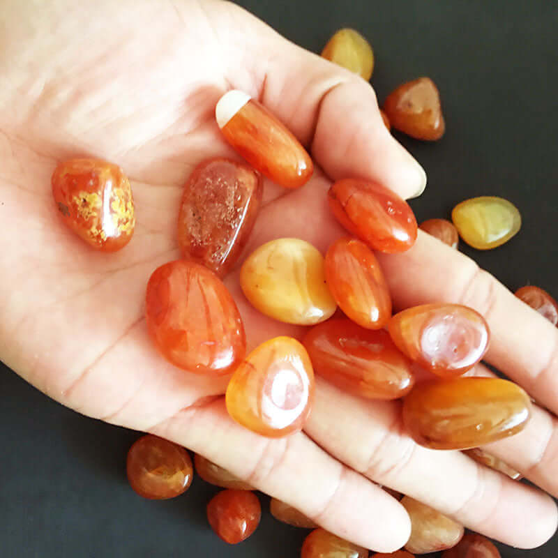 Main d'une personne tenant des pierres roulées de Carnelian Rouge, ajoutant une touche vibrante à la décoration intérieure.