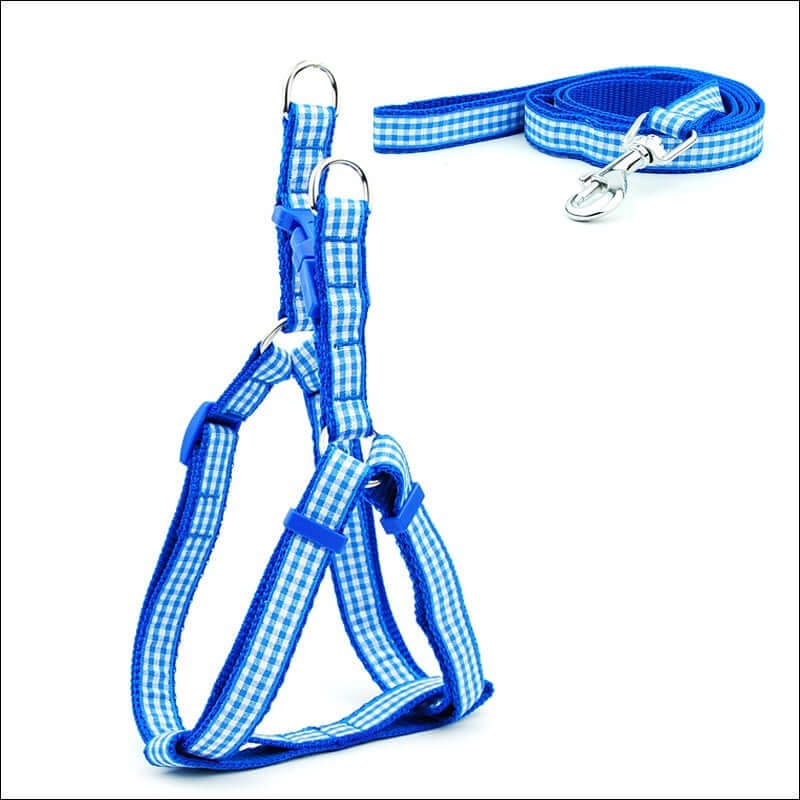 Harnais bleu à carreaux avec laisse assortie, durable et confortable pour petits et moyens chiens.