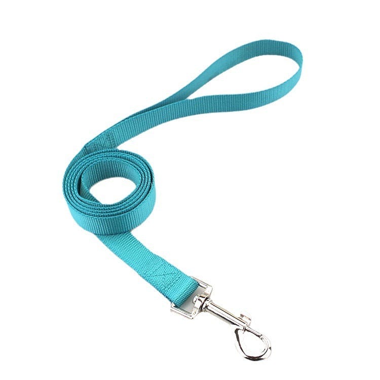 Corde de traction solide pour chien en nylon bleu, idéale pour la sécurité de votre animal lors des promenades.