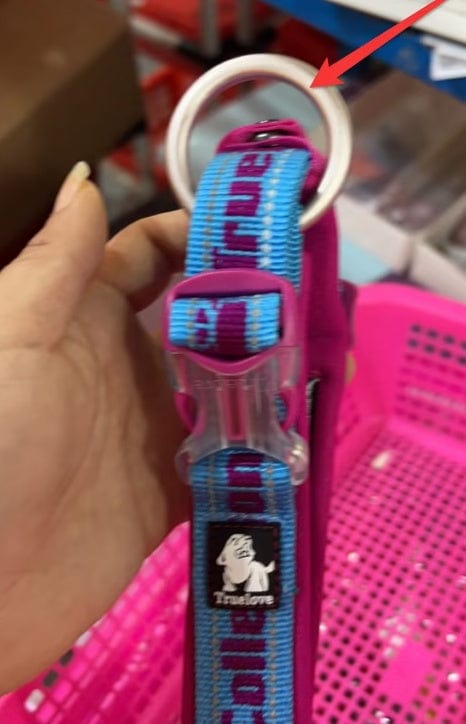 Harnais de collier pour chien avec boucle en métal et design coloré, idéal pour l'entraînement et la sécurité.