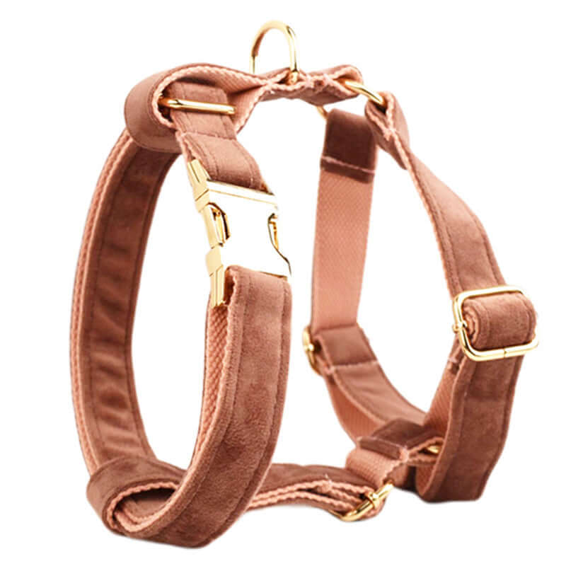 Harnais en velours élégant pour chien, doux et ajustable, idéal pour le confort et le style.