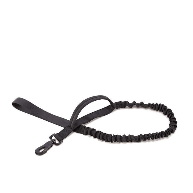 Laisse de chien noire élastique, idéale pour le confort et la sécurité lors des promenades.