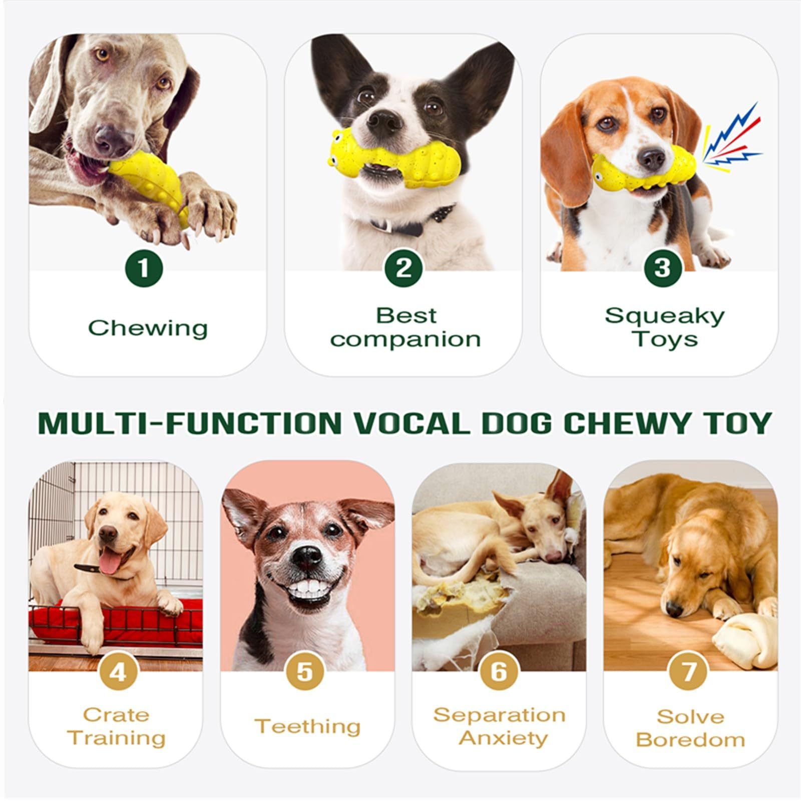 Jouets à Mastiquer Indestructibles pour Chiens