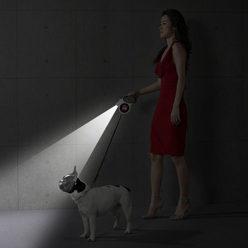 Femme en robe rouge tenant une laisse pour chien avec lampe intégrée, promenant un chien de race française.