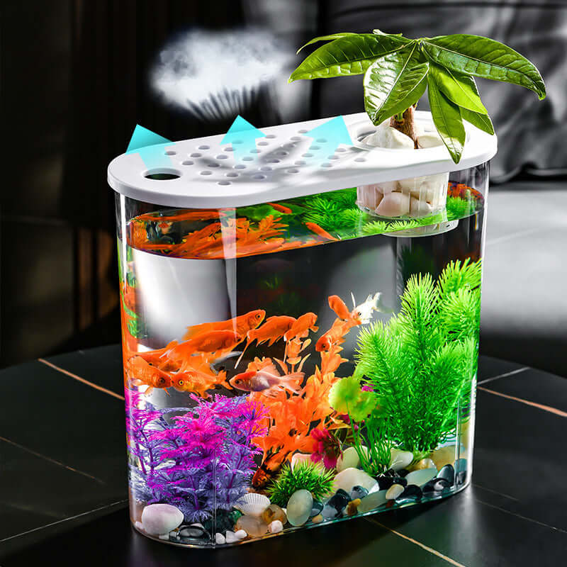 Aquarium incubateur écologique transparent avec poissons colorés et décorations vibrantes.