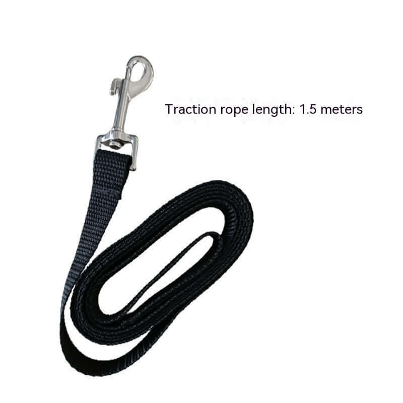 Harnais antidérapant avec corde de maintien de 1,5 mètre pour animaux de compagnie. Sécurisé et durable.
