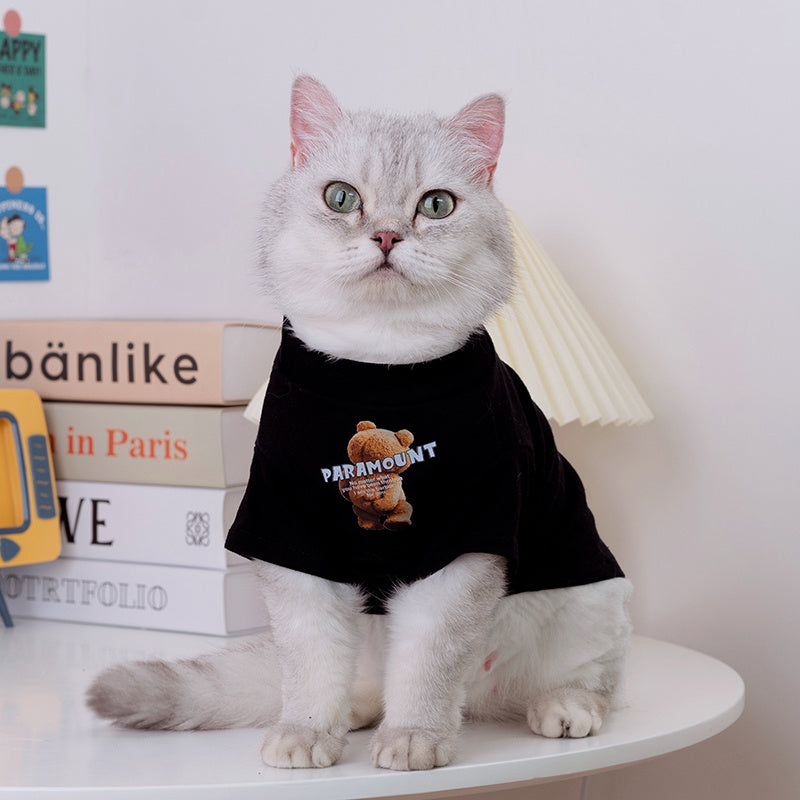 Chat avec un T-shirt noir représentant un ours, assis sur une table décorée.