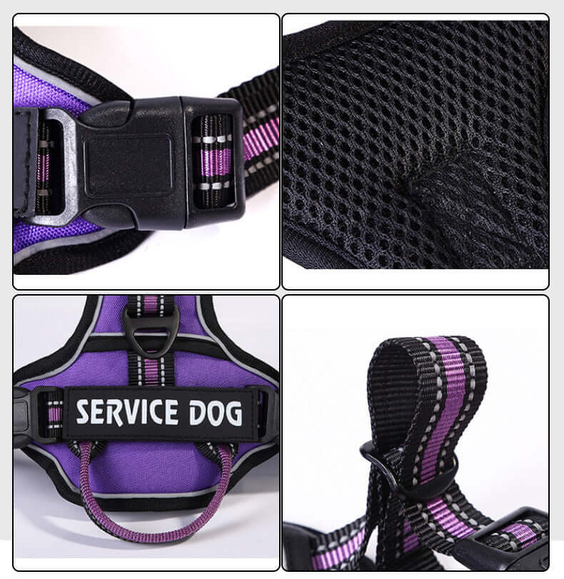 Harnais pour chien en tissu Oxford avec étiquette 'Service Dog' et finition en mesh, confort et sécurité.