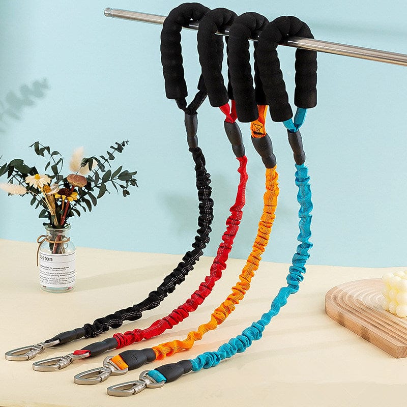 Ceinture de Traction en Nylon pour promenades de chien, disponible en plusieurs couleurs vives.