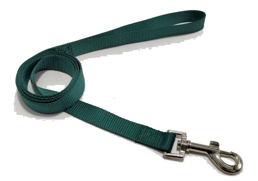 Corde de traction solide pour chien en nylon de couleur verte, idéale pour les promenades et la sécurité des animaux.