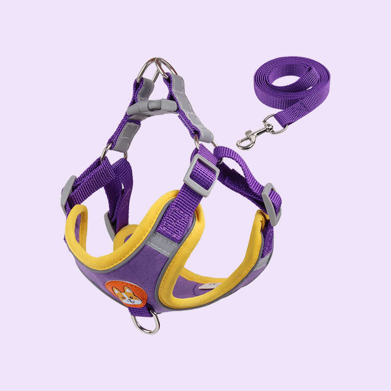 Harnais et laisse en velours pour chiens, violet et jaune, parfait pour petits et moyens chiens.