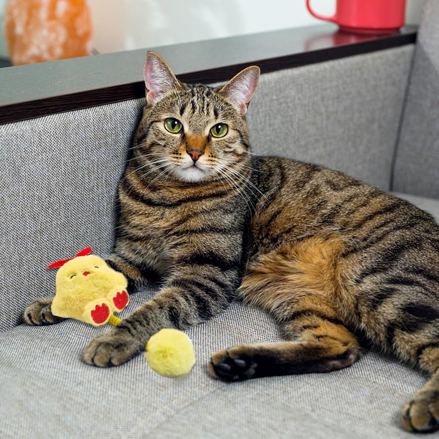 Jouets interactifs pour chat avec Silvervine et balle en peluche