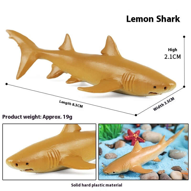 Modèle de requin citron en plastique, jouet éducatif pour enfants, dimensions et poids inclus