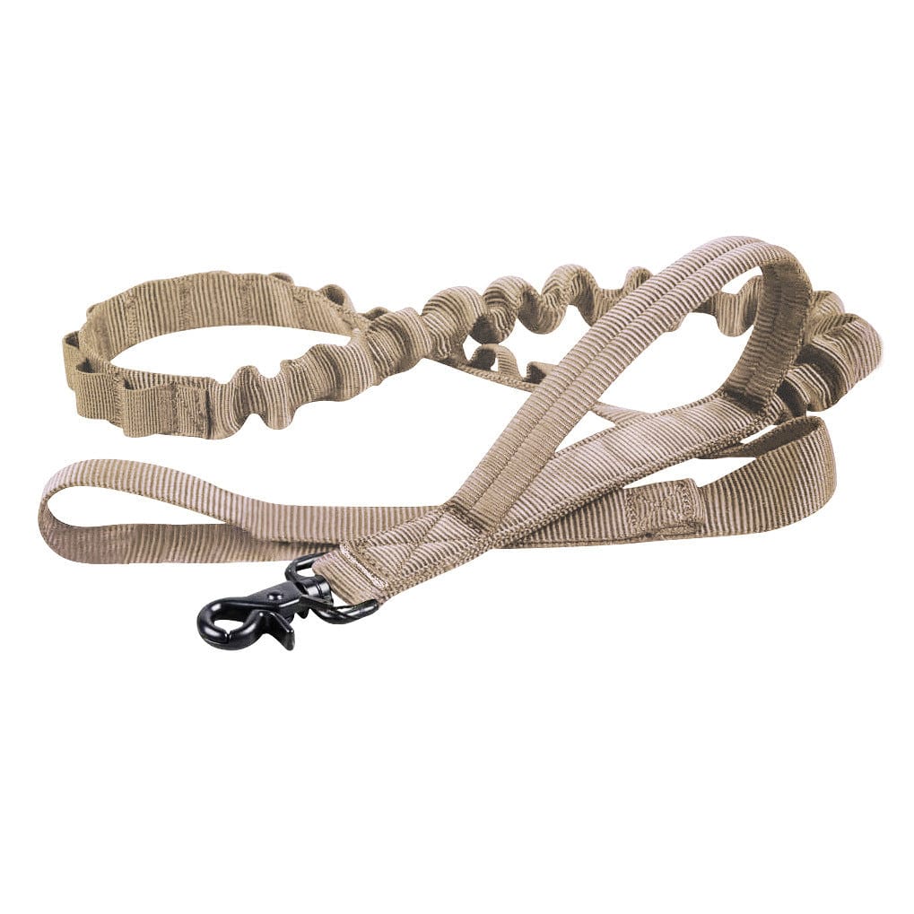 Laisse tactique pour chien en nylon militaire, réglable et durable, idéale pour les aventures en plein air.
