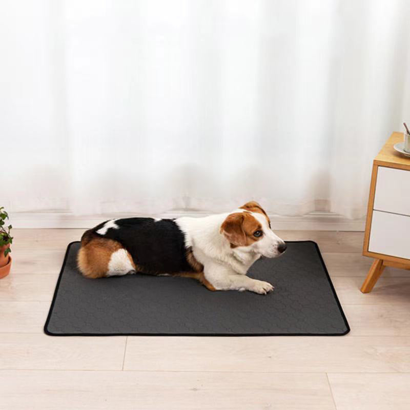 Tapis Changement pour Chien Imperméable et Absorbant
