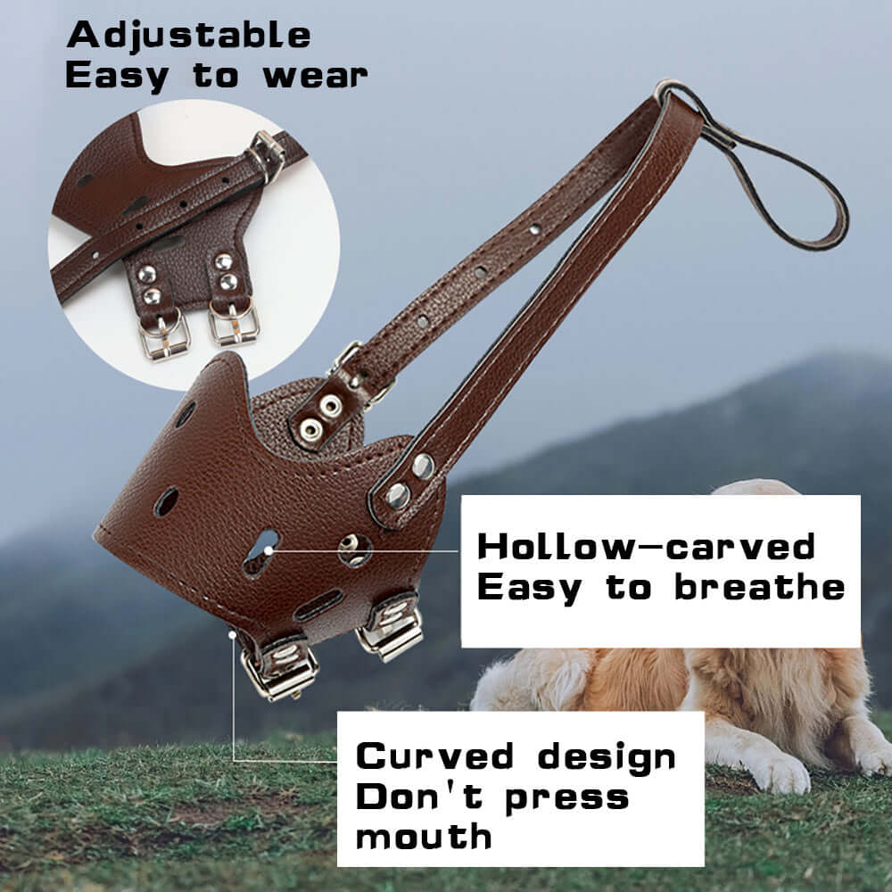 Muselière en cuir ajustable et respirante pour chiens, offrant confort et sécurité en extérieur.