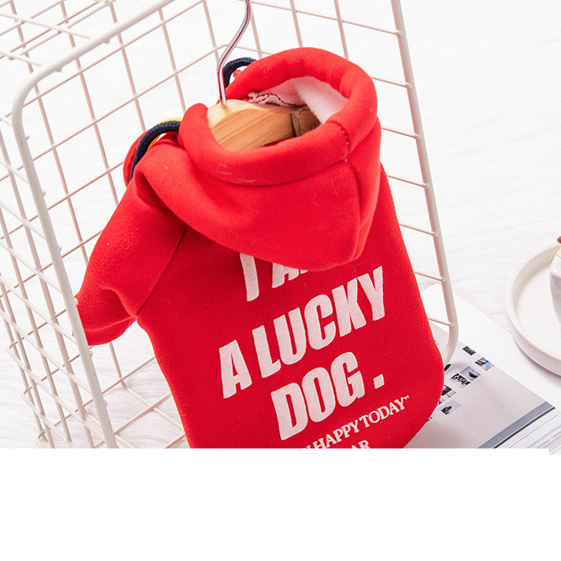 Pull tendance rouge en polyester pour chien avec inscription 'I'm a lucky dog' dans un panier.