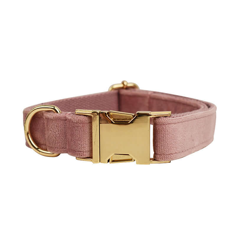 Collier pour chien en velours violet clair avec boucle dorée, confortable et élégant pour votre compagnon.