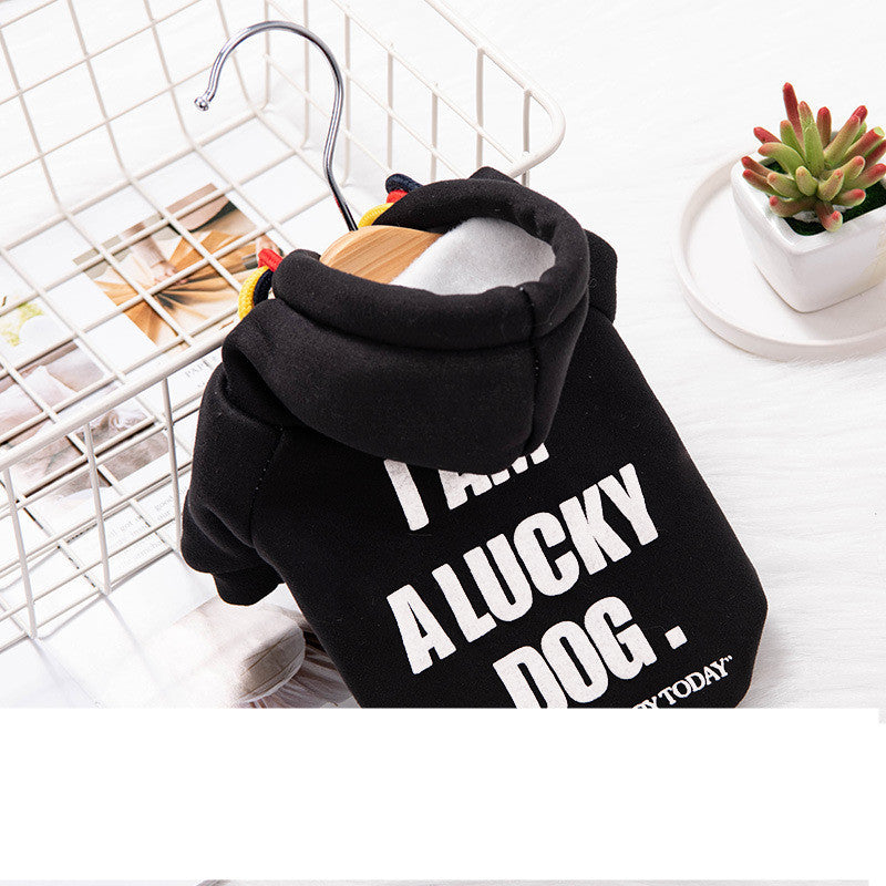 Pull noir pour chien avec inscription 'I AM A LUCKY DOG' sur un cintre dans un environnement stylé.