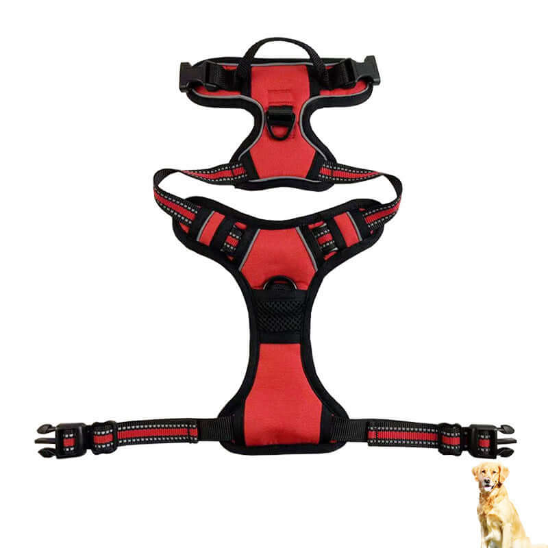 Harnais de traction rouge pour chien, conçu pour le confort et la sécurité lors des promenades.