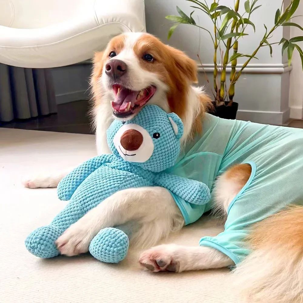Jouet Squeaky en Peluche pour Chiens - Ours en Peluche
