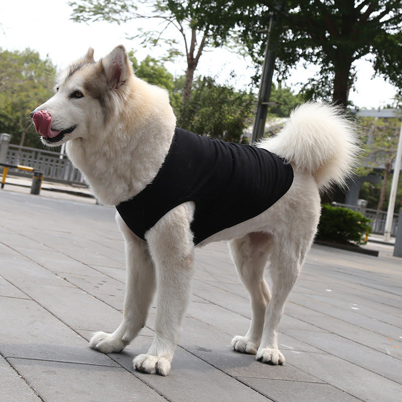 Gilet en coton noir pour chien en été, confortable et respirant pour petits et moyens chiens.