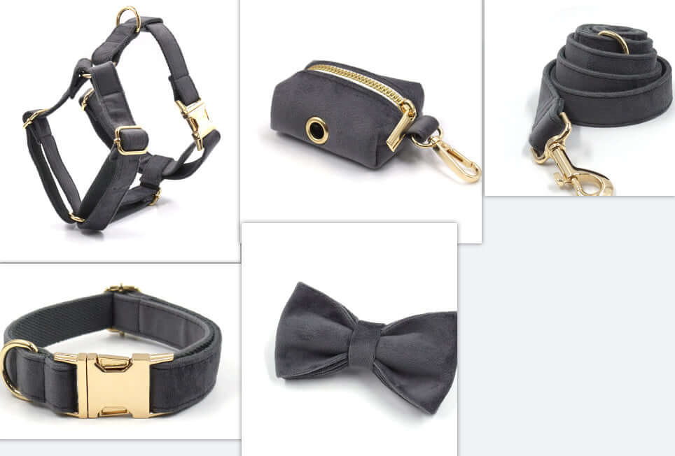 Collier et laisse en velours gris foncé avec accessoires en or pour animaux élégants.