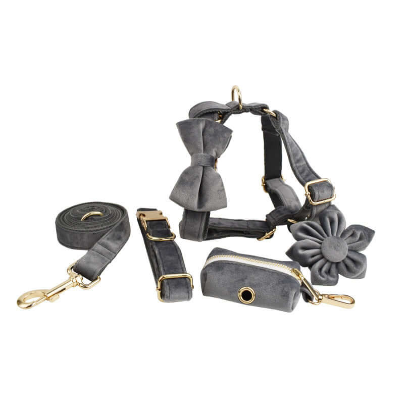 Collier en velours pour chien avec laisse assortie, pochette et accessoire floral en gris élégant.
