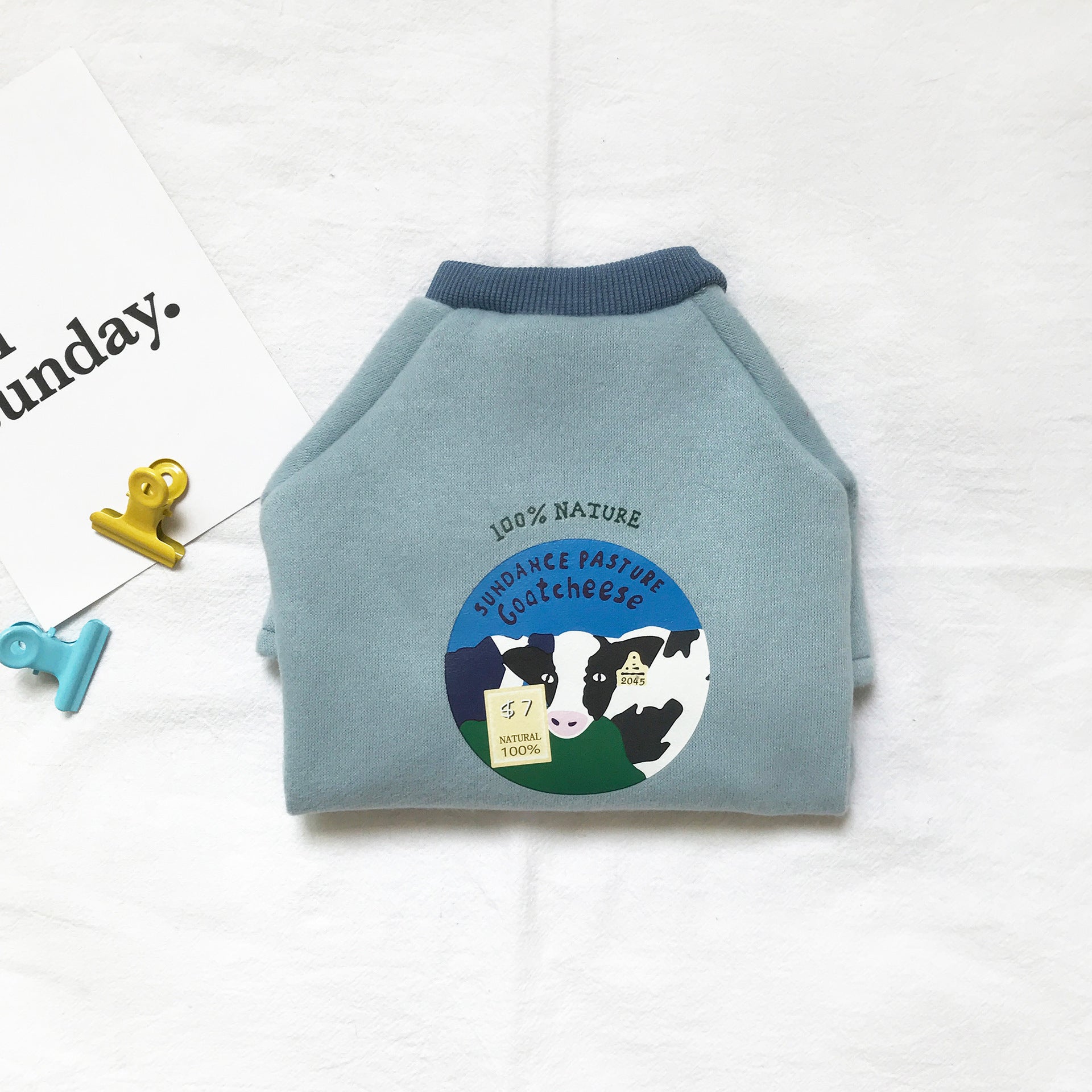 Pull bleu en coton biologique pour chats, style décontracté, avec étiquette "100% Nature".