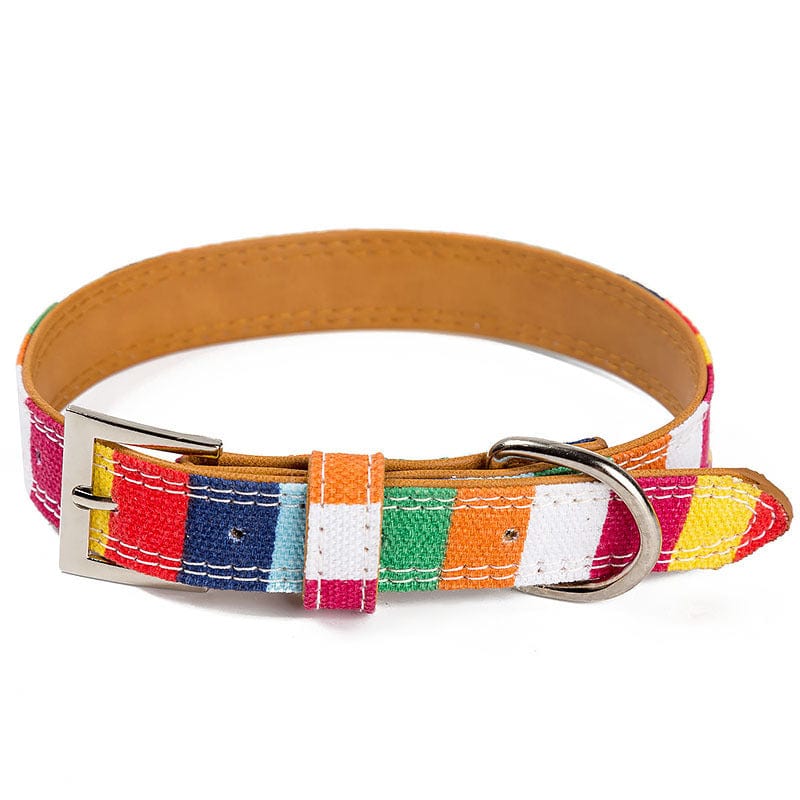 Collier en cuir coloré pour chien, taille S, M, L, élégant et durable, parfait pour un look chic.