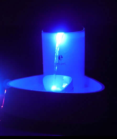 Distributeur d'eau pour chiens et chats avec lumière LED bleue, idéal pour garder vos animaux hydratés.