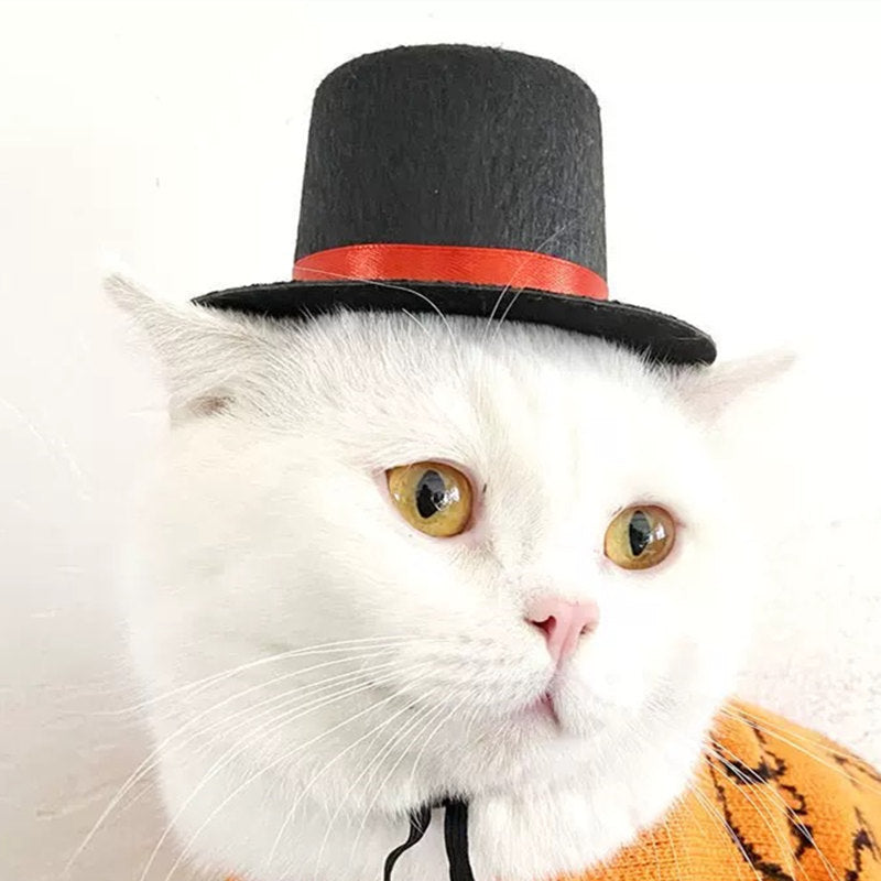 Chat avec chapeau haut de forme noir et orange, habit élégant pour animaux, style gentleman.