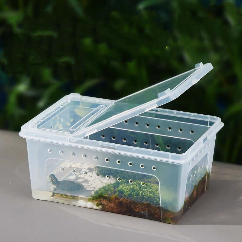 Boîte de nourriture en verre pour tortue, design en PP avec ventilation, adaptée aux reptiles et terrariums.