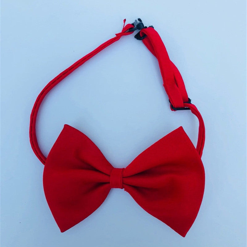 Ornement Coloré pour Chat avec Fleurs, un nœud rouge élégant, parfait pour accessoiriser votre félin.