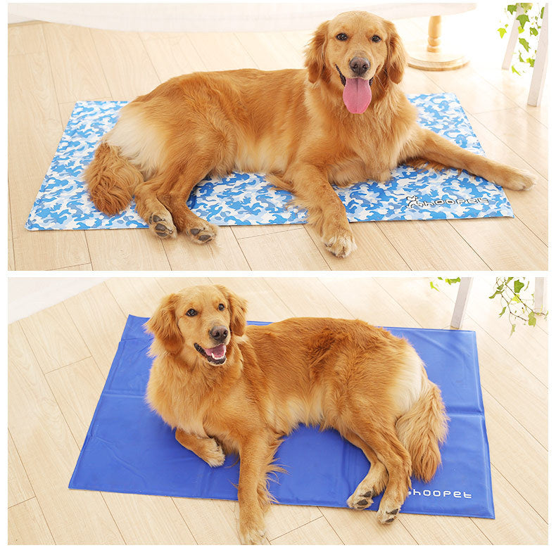 Tapis de Glace pour Chien