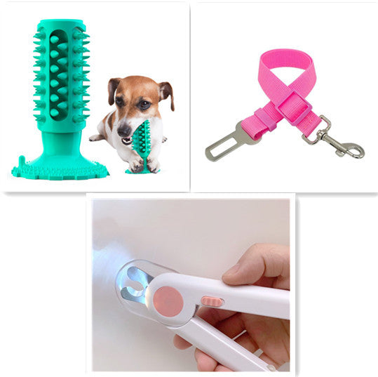 Brosse à Dents pour Chien Stick Molaire