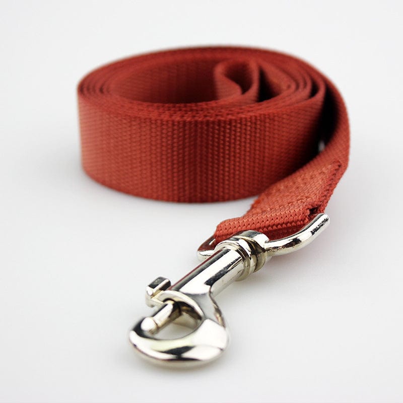 Corde de traction solide en nylon de couleur rouge pour chien, équipée d'un mousqueton robuste.