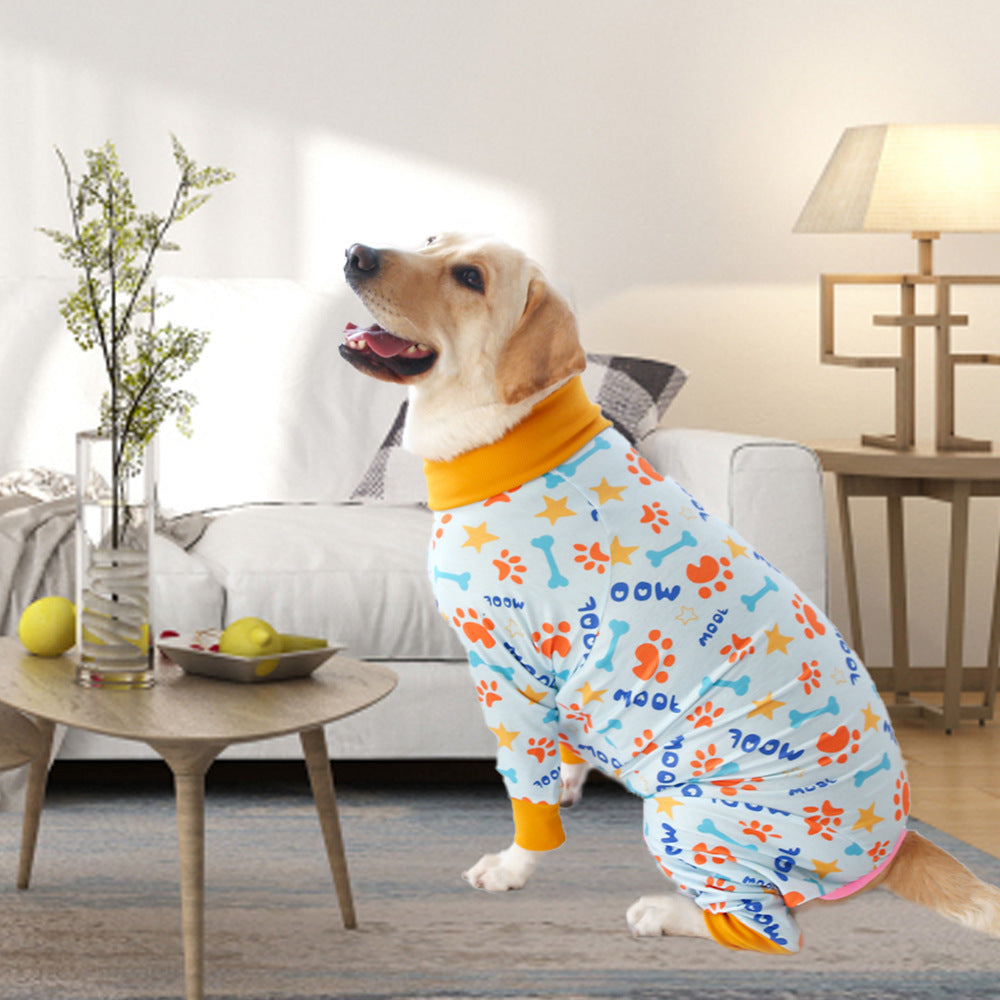 Chien heureux portant un t-shirt en coton doux et coloré, assis dans un salon moderne.