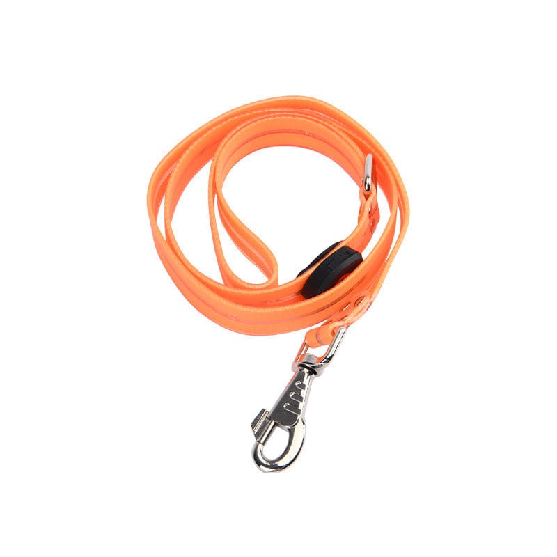 Laisse LED orange pour animaux de compagnie, offrant visibilité et sécurité lors des promenades de jour comme de nuit.