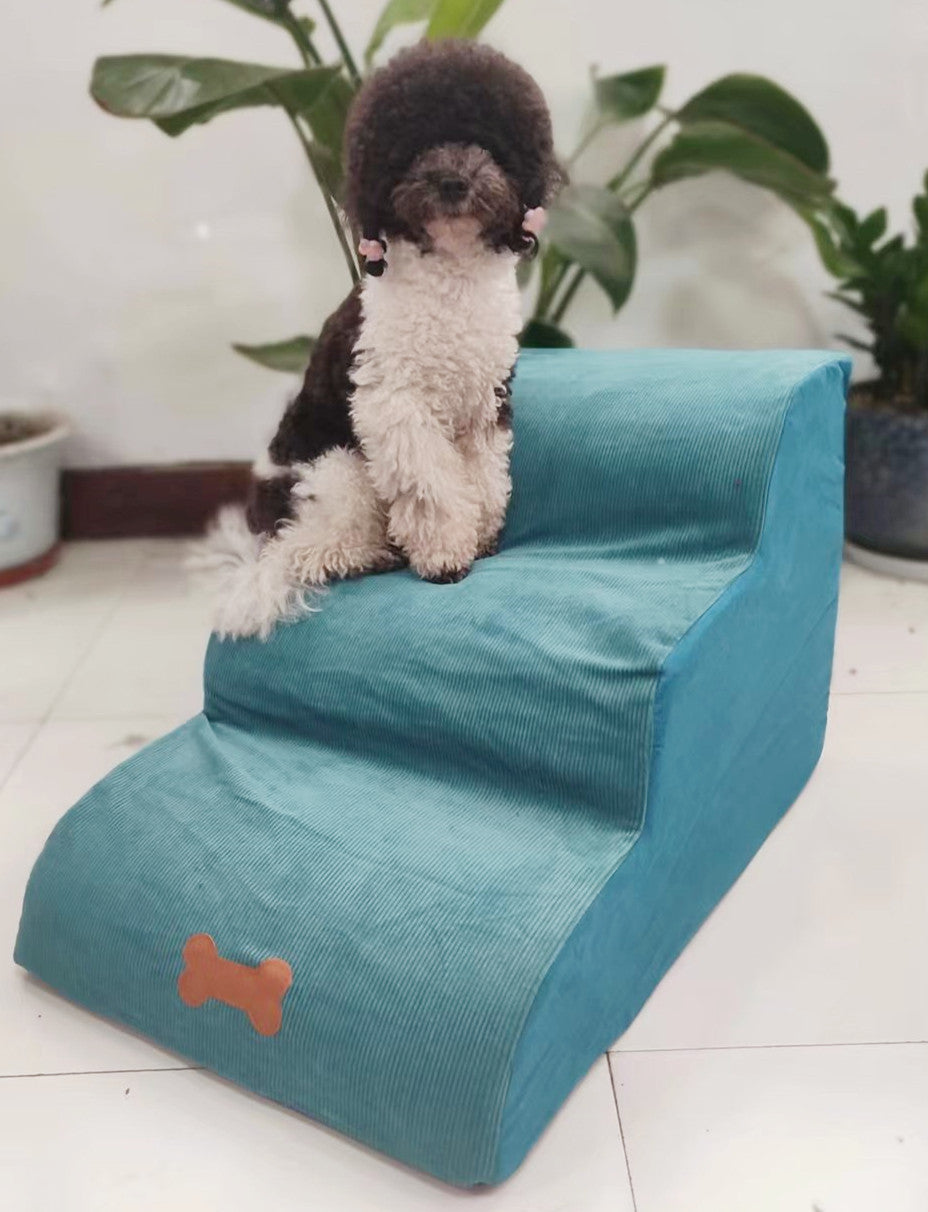 Chien mignon sur une échelle de chien amovible et lavable, idéal pour un accès facile aux hauteurs.