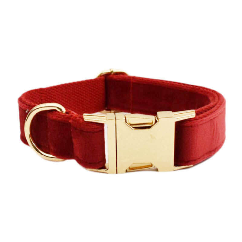 Collier pour chien rouge avec boucle dorée, accessoire confortable et élégant pour animaux.