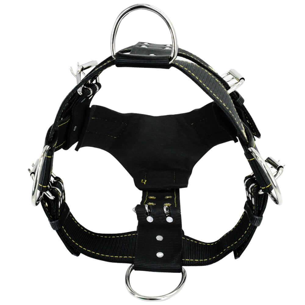 Harnais de sécurité noir pour chien, léger et durable, conçu pour le confort et le contrôle optimal lors des promenades.