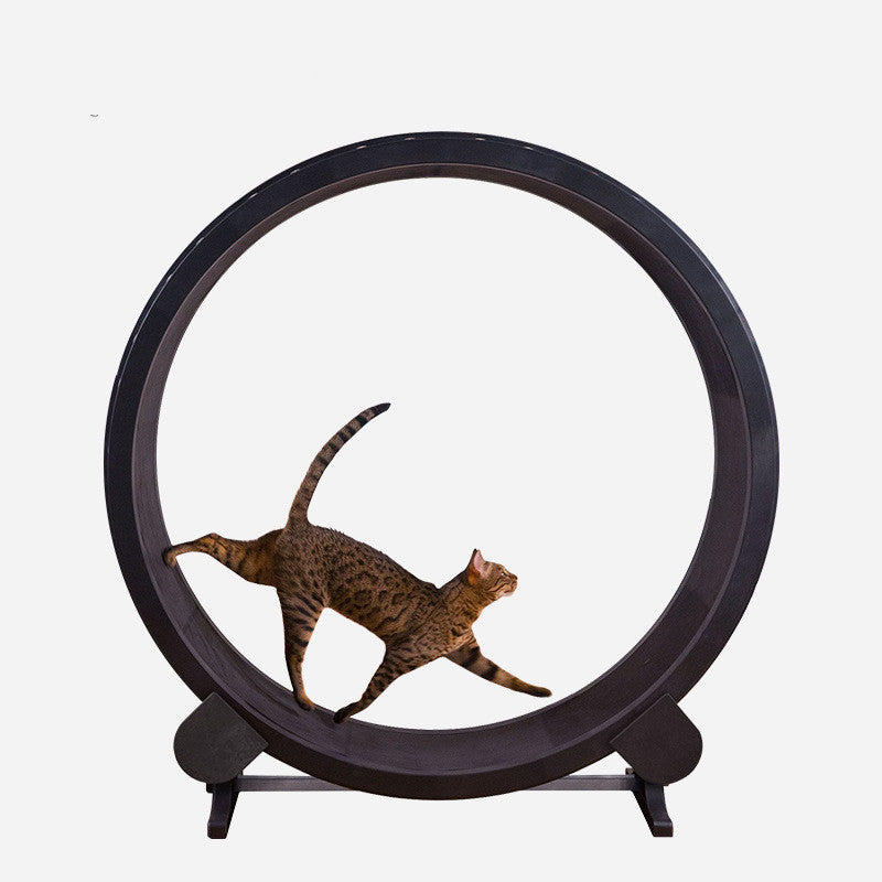 Roues de Course pour Chats - Jouets de Fitness