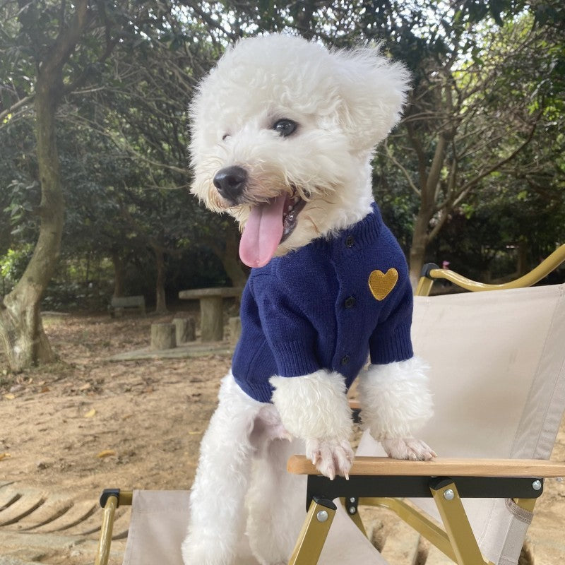 Chien dans un pull en laine bleu avec cœur doré, assis sur une chaise en plein air.