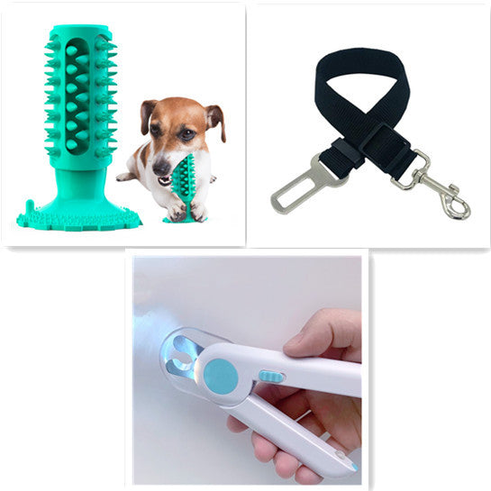 Brosse à Dents pour Chien Stick Molaire